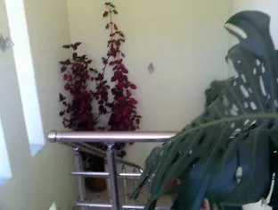 Selfo 3* Dervisciani